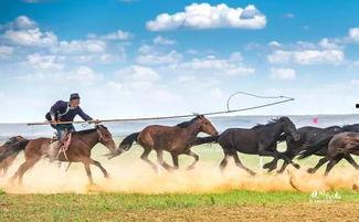 蒙古精神在线观看,在线观看之旅 第2张 蒙古精神在线观看,在线观看之旅 第2张