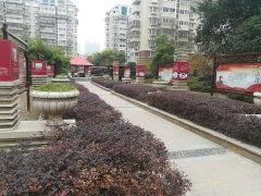 南通景河苑最新爆料,揭秘神秘项目背后的真相